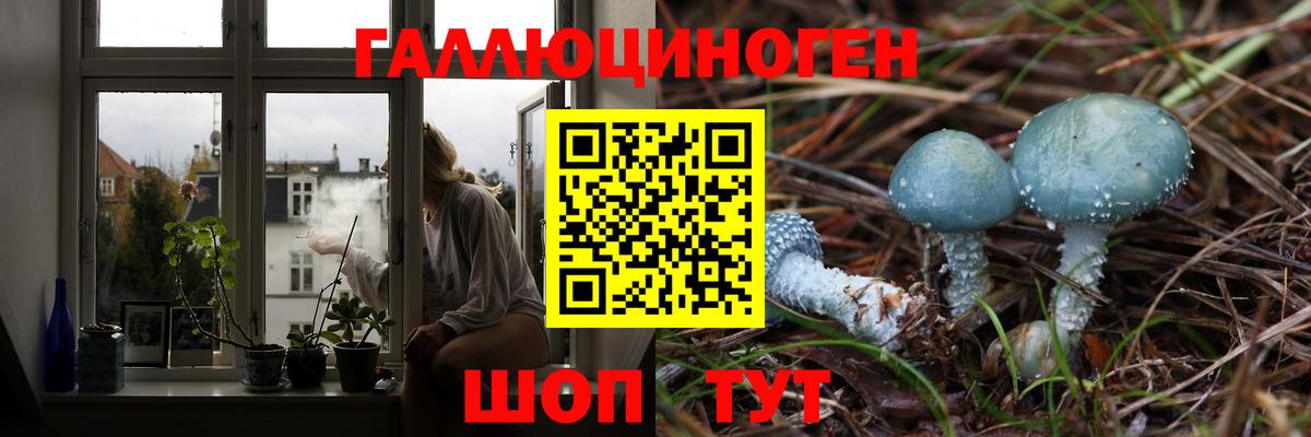 Галлюциногенные грибы Psilocybine cubensis  Псилоцибиновые грибы ЛСД  Вход с VPN  Городец 